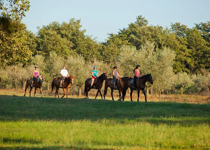Hotel Albatros Plava Laguna