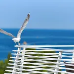 호텔 Albatros Plava Laguna 포레치
